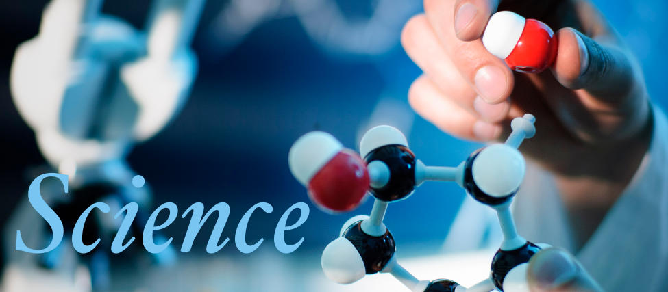 مزایا و نقش مکمل نیتریک اکسید در بدنسازی